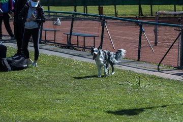 Bild 280 - VL Marienthaler THC - THC von Horn und Hamm